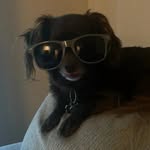 Hunter Webster - @hunterwebster2009 - Instagram