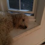 Hunter Weeks - @hunterweeks920 - Instagram