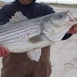 Hunter Weeks - @weehun56 - Instagram