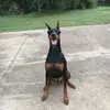 hunterweeks07 - @hunterweeks07 - TikTok