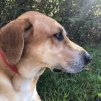 Hunter Weems - Facebook