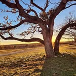 Hunter & Michelle Whatley - @whatley_works - Instagram