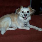 Hunter Wheelock - Facebook