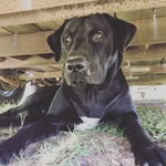 Hunter Whitcomb - @whitcomb63 - Instagram