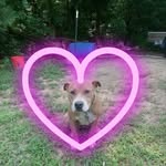 Hunter Whitmire - @spammer09_ - Instagram