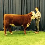 Hunter Whitt - @whitthunter - Instagram