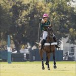 Hunter whittles polo ponies - @hunterwhittle_polo - Instagram