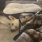 Hunter Jacob Wightman - @hunterjacobwightman - Instagram
