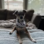 Hunter - @hunter._.wilkinson - Instagram
