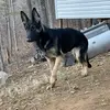 Hunter Wilkins - @hunterwilkins1926 - TikTok