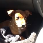 Hunter Williamson - @hunter47747 - Instagram