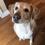 Hunter Willis - @hunter.buddy - Instagram