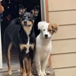 Hunter Willoughby - @thenotorious_nala - Instagram