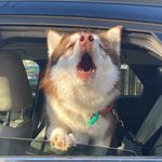 Exodus Hunter Wills - @exodus_wills - Instagram