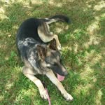 hunter wills - @hunterwills33 - Instagram