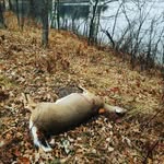 hunter wills - @wills2002 - Instagram
