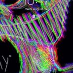 Hunter Wilmoth - Facebook
