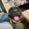 hunterwilmoth735 - @hunterwilmoth735 - TikTok