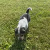Hunter Frey - @hunter.frey4 - TikTok