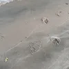 Hunter Winters - @hunter.winters2 - TikTok