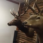 hunterleewithrow - @hunterwithrow413 - Instagram