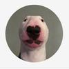 hunterwitmer - @poopie_head_123 - TikTok