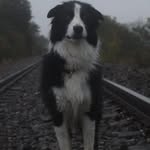 Hunter Wolf - @hunter_the._.w0lf - Instagram