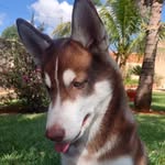 HunterWolflife - @hunterwolflife - Instagram