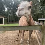 Hunter Womack - Facebook