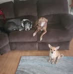 Hunter Woolley - Facebook