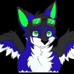 hunter - @hunterworrell5 - Instagram