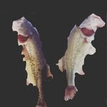 hunter worthen - @stud_catcher.123 - Instagram