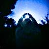 Hunter.Worthen - @hunterworthen._ - TikTok