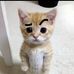 Hunter Wu - Facebook
