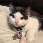 Hunter Wynne - @bane_of_dragons - Instagram