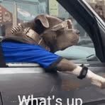 Hunter Youmans - Facebook