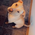 Hunter Youmans - Facebook
