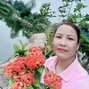 HuongBach - @huongbach4 - TikTok
