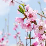 Hương Kim - @huongkim3557 - Instagram