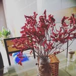 Huong Kim - @huongkim3098 - Instagram