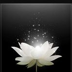Huong Ma - Facebook