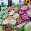 Hương Mắm Daily - @huongmam1009 - TikTok