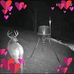 Hurley Davis - Facebook