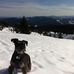 Hurley Williams - Facebook
