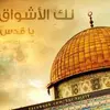 Husam Omar - @husam.omar - TikTok
