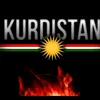 Husam Omari 🤴 - @husam.omari - TikTok