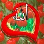 Hasan Husein - @husein.hasan - Instagram