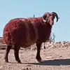 Hüseyin Bilgin - @hseyin.bilgin63 - TikTok