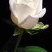 Huseyın Dursun - Facebook