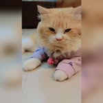 @husna_alam_ - Instagram